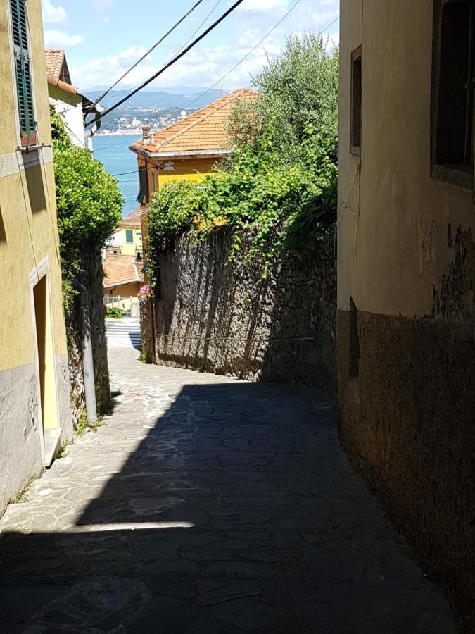 费扎诺Carugio Del Fezzano住宿加早餐旅馆 外观 照片